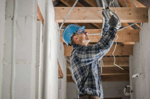 Best Electric Panel Repair  in Hartley, IA
